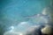 Fiji Paradise Series - Reflections - Fish Swimming in Sea Water at First Landing - Viti Levu