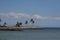 Fiji Paradise Series - View of Palms and Islands from First Landing - Viti Levu