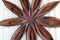 Fiji Paradise Series - Wood Star Flower Decorative