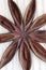 Fiji Paradise Series - Wood Star Flower Decorative