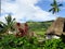 Fiji - traditional houses - bure at the Navala village