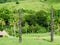 Fiji - traditional houses - bure at the Navala village