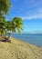 Fijian Beach and Palm Trees