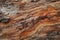 File of bark wood texture, providing a natural and raw feel