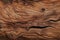 File of bark wood texture, providing a natural and raw feel