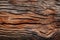 File of texture of bark wood use as natural background