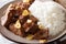 Filipino cuisine: beef Salpicao with rice garnish macro. horizon