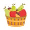 Filled basket fruits fresh on white background