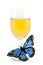 Filled Wine Glass and Blue Butterfly