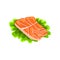 Fillet of fresh red salmon fish, seafood product vector Illustration on a white background