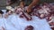 fillet process. chopping meat of sacrifice or qurban in Eid Al Adha. Selective focus.