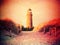 Film effect. Historical lighthouse. Shinning lighthouse, dunes and pine tree. Tower illuminated with strong warning light,
