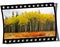 Filmstrip Frame