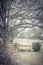 Filtered image heavy snowfall over suburban residential street with row of bungalow houses and sidewalk in Texas, USA