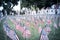 Filtered image lawn American flags with blurry row of people carry fallen soldiers banners parade