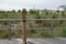 Filtered water bottle filler on a boardwalk neat a beach sand dune with high grass