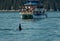 Fin of orca whale in front of wildlife cruise