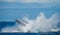 The fin splashing humpback whale. Madagascar. St. Mary`s Island.