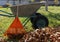 Final garden work of autumn. Wheelbarrow in the garden. Garden wheelbarrow, rake and branches, a pile of dry leaves. Autumn garden