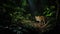 Final Glimpse of the Javan Tiger in the Indonesian Rainforest