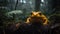 The Final Golden Toad in the Costa Rican Misty Forest