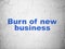 Finance concept: Burn Of new Business on wall background