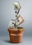 Finance creative concept, money growth as flower in pot