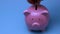 Finance saving concept. Money throwing in the piggy bank euro coins