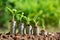 Finance stack coins and the green plant on soil and nature background