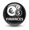 Finances (euro sign) glassy black round button