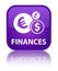 Finances (euro sign) special purple square button