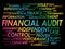 Financial Audit word cloud collage