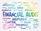 Financial Audit word cloud collage