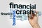 Financial crash word cloud concept on grey background
