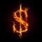 Financial crisis. Dollar in fire