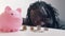 Financial decision, investments and savings. Funny african american man looking into the coins in front of the piggy