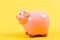 Financial education. Finances and investments bank. Better way to bank. Piggy bank adorable pink pig close up