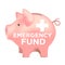 Financial Emergency Fund Piggy Bank