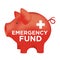 Financial Emergency Fund Piggy Bank