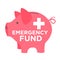 Financial Emergency Fund Piggy Bank