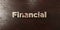 Financial - grungy wooden headline on Maple - 3D rendered royalty free stock image