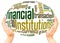 Financial Institutions word cloud hand sphere concept