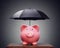 Financial insurance or protection piggy bank with umbrella