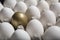 Financial Success finding the Golden Egg and standing out from the crowd