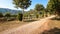 Finca in Mallorca