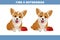 Find 5 differences between two cartoon corgi dogs. Children\\\'s logic game, educational puzzle