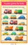 Find a car that does not have a pair. Puzzle for kids. Matching game, education game for children. Transport or vehicle. Worksheet