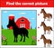 Find the correct picture, education game for children. Horse in the farm