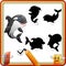 Find the correct shadow. Cartoon funny killer whale. Education Game for Children