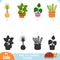 Find the correct shadow, education game, set of houseplants